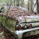 Illustration for article titled GHOST CARS ROTTING IN THE MISSISSIPPI SWAMP